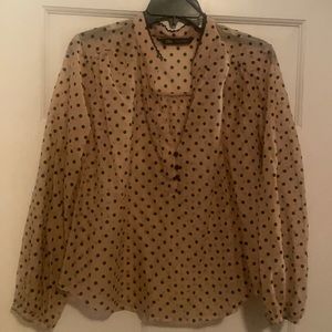 Zara sheer polka dot blouse
